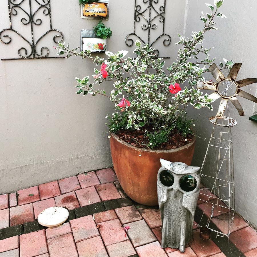 Blu Trea B&B Johannesburg Buitenkant foto